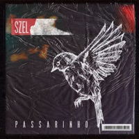 Album cover for Ninho (Audiopoema) by SZEL