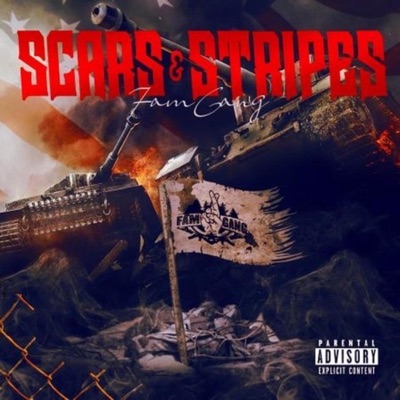 Scars & Stripes