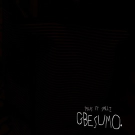 Gbesumo (feat. Spillz) Mus