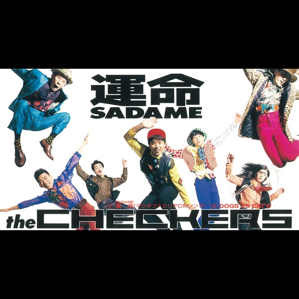 運命(SADAME)/DOGS VS CAT'S - Single