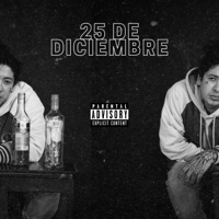 25 de Diciembre - Single - Gayo Valdez, Cool Beats Dude Cbd & Weise Kinder