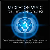 Zen Garden Music: Shakuhachi Flute Meditation Music — Yoga Club