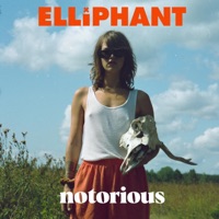 Notorious - Single - Elliphant