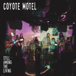 Coyote Motel - Josh Gibson (Live)