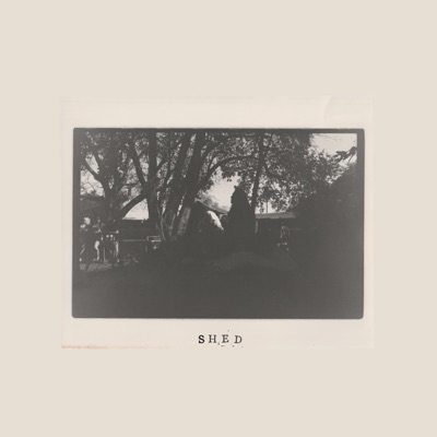 Shed - Single