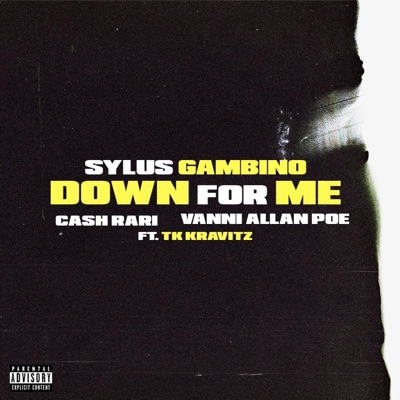 Down for Me (feat. Tk Kravitz, Cash Rari & Vanni Allan Poe) [Radio Edit] - Single
