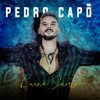 Buena Suerte - Pedro Capó