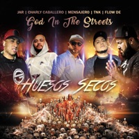 Huesos Secos (feat. Charly Caballero, Jar, Flow De & TNK Garcia) - Single - Gits family
