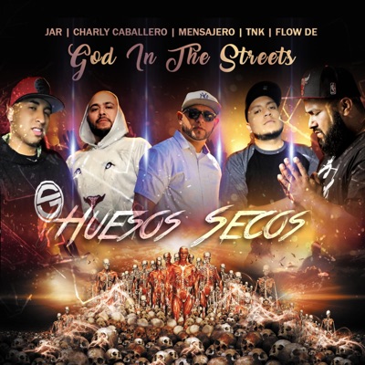 Huesos Secos (feat. Charly Caballero, Jar, Flow De & TNK Garcia) - Single