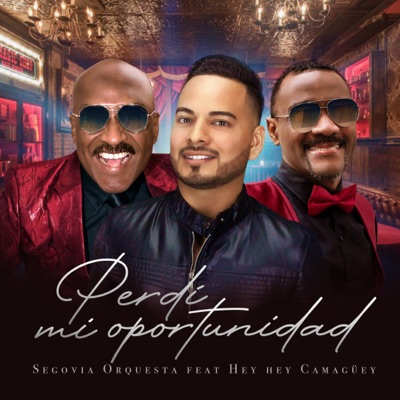 Perdí Mi Oportunidad (feat. Hey Hey Camaguey) - Single