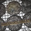 Consciousness Unlocked - Single