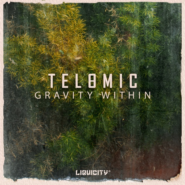 Gravity Within (feat. Laura Brehm & Ella Noël) - EP