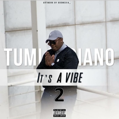 It's a Vibe 2 - Single