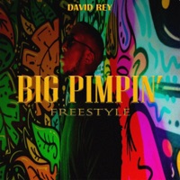 In-Ting - Single - David Rey