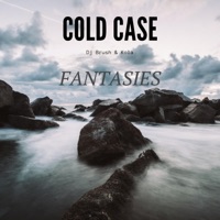 Fantasies - Single - Cold Case, Dj Brush & Kola