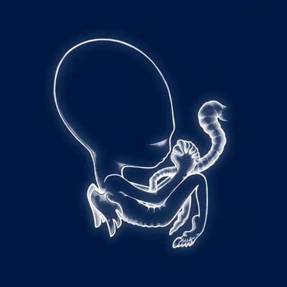 Cover artwork for Flugufrelsarinn
