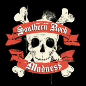 Southern Rock Madness - Vários intérpretes