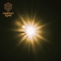 The Lost Birds - Single - Afterlife