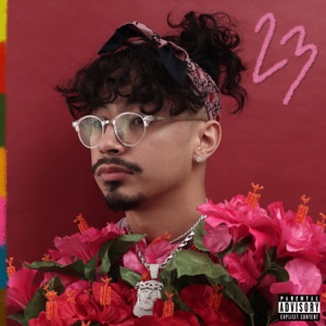 23