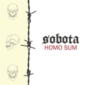 Homo Sum artwork