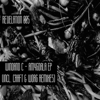 Amygdala - Windand C