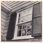 Beach Fossils - Adversity