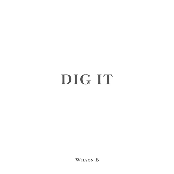 Dig It