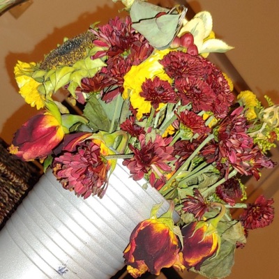 Patti Mayonnaise - Single