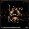 Stream & download Anjana Pawan Baagh, Vol. 2