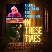 In These Times (feat. Jimmy Haslip, James Lloyd & Rob Silverman) artwork