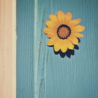 past tense - Single - Mo Riz