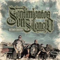 Sentimientos en Silencio (feat. Sucio Arty & dj karma) - Single - Big Seiko