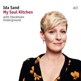 I Have Nothing Left for You (with Stockholm Underground) [feat. Nils Landgren] Ida Sand