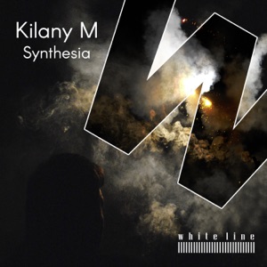 Synthesia - Single