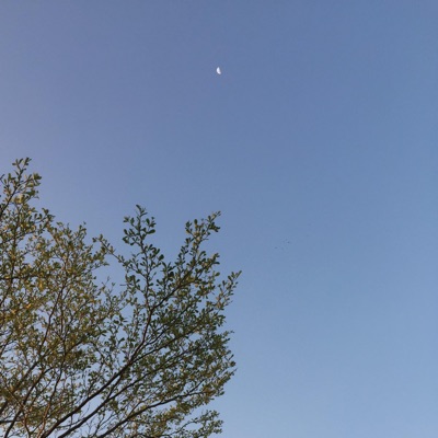 Safe and Sound - Single