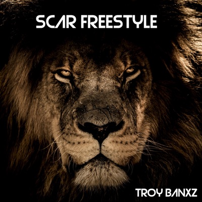 Scar Freestyle - Single
