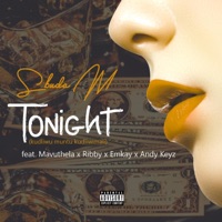 Tonight (feat. Sbuda M, Emkay & Andy Keyz) - Single - Mavuthla & Ribby
