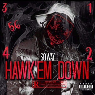 Hawk Em Down!!! - Single