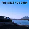 For What You Burn - Wild Swimming