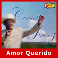 Por Tu Amor Vivo Borracho