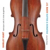 Shirley et Dino Sonata for Viola da Gamba and Harpsichord No. 2 in D Major, BWV 1028: I. Adagio J.S. Bach Suites & Sonatas, Vol. 3
