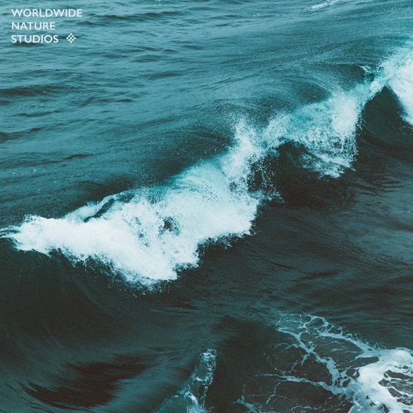 Ocean HD Vol. 1 - EP