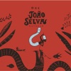 Navegar by João Selva iTunes Track 1