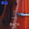 Bach: Air on the G String - Sergey Bryukhno