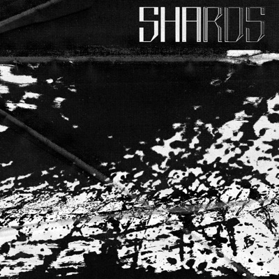 SHARDS (feat. Aftermind) - Single