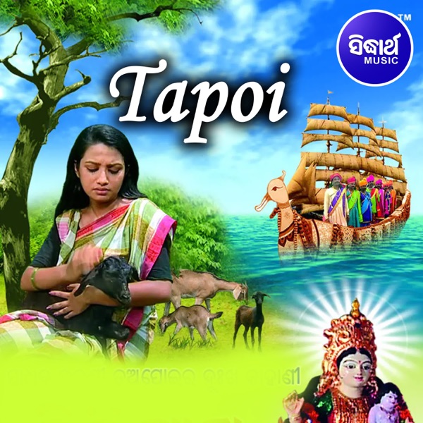 Tapoi