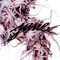 Lenox - Hakeem Steele lyrics