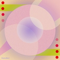 Tender - Josh Willey