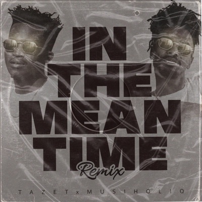 In the meantime (feat. Musiholiq) - Single
