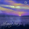 Sleeping Sun - Single